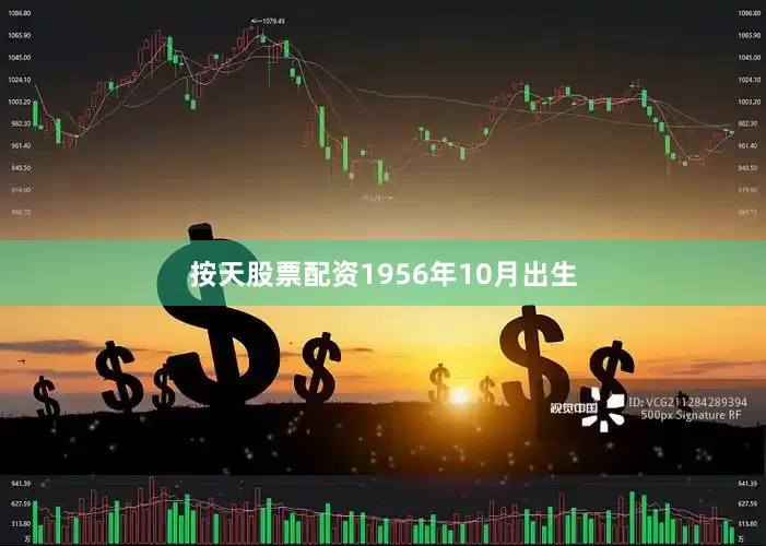 按天股票配资1956年10月出生