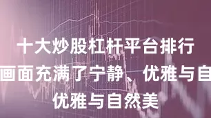 十大炒股杠杆平台排行整个画面充满了宁静、优雅与自然美